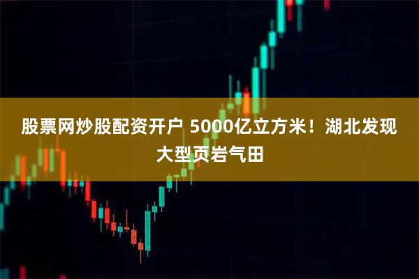 股票网炒股配资开户 5000亿立方米！湖北发现大型页岩气田