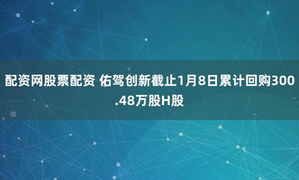 配资网股票配资 佑驾创新截止1月8日累计回购300.48万股H股